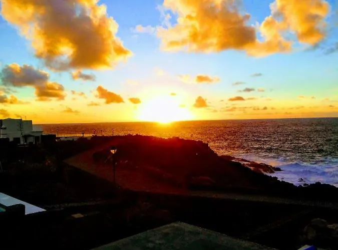 Hortensia Playa Blanca (Lanzarote)